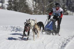 Kandersteg 2013